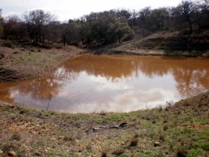 muddy water from the rain